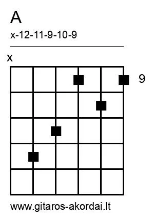 A chord diagram