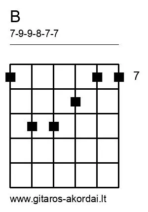 B chord diagram