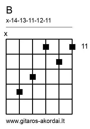 B chord diagram