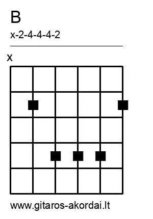 B chord diagram