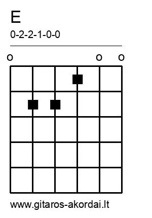 E chord diagram