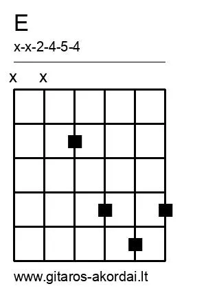 E chord diagram